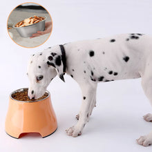 Load image into Gallery viewer, elevated dog bowl with melamine stand
