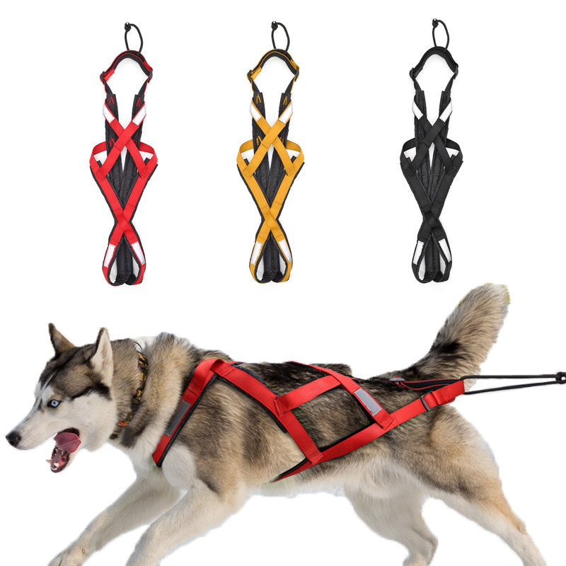 strong & durable dog sledding harness 