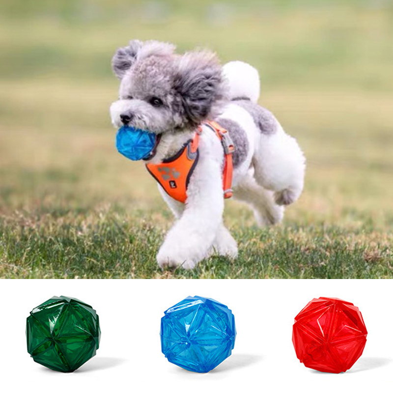 Light Up LED Dog Balls Toys with Sound