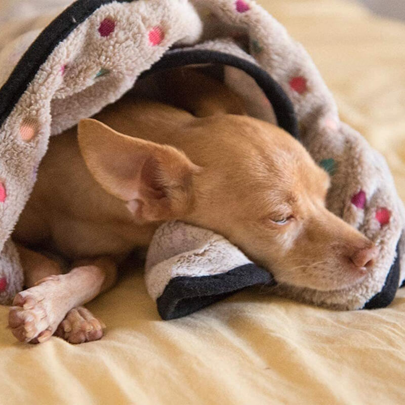 non-shedding or fading dog cat blanket