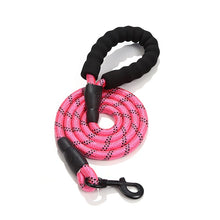 Load image into Gallery viewer, HiFuzzyPet Nylon Reflective Dog Leash
