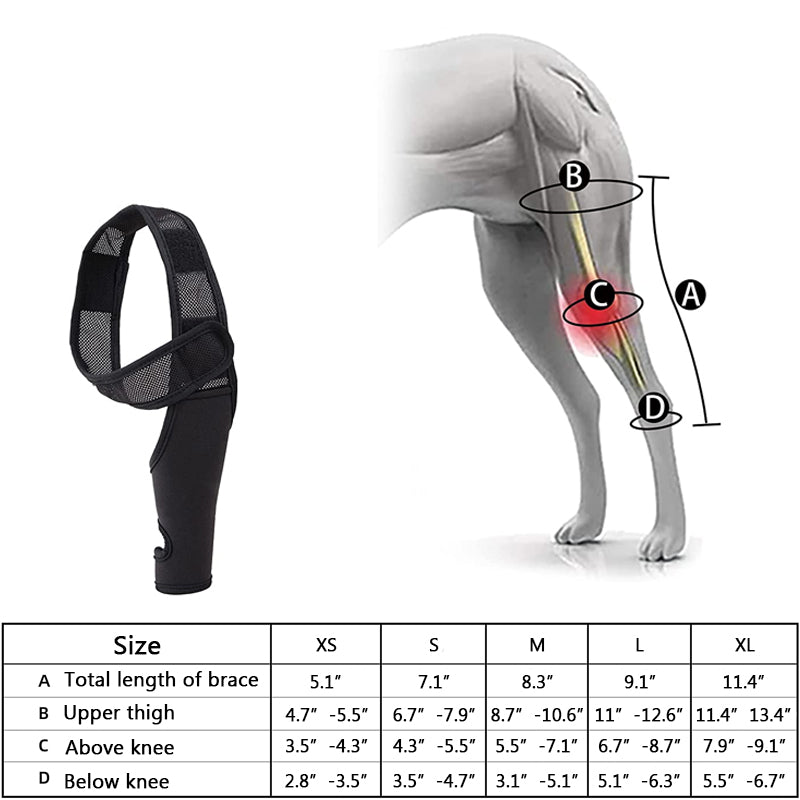 Dog knee brace size chart