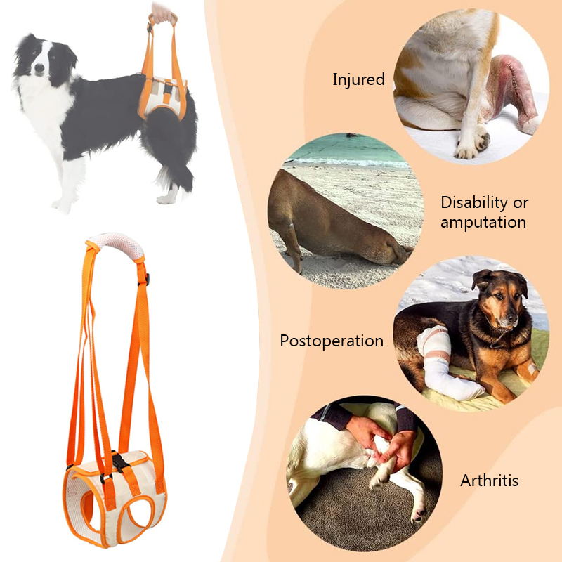Dog lift harness function description