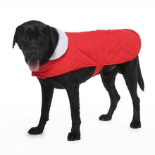 Load image into Gallery viewer, HiFuzzyPet Windproof Dog Jacket for Winter
