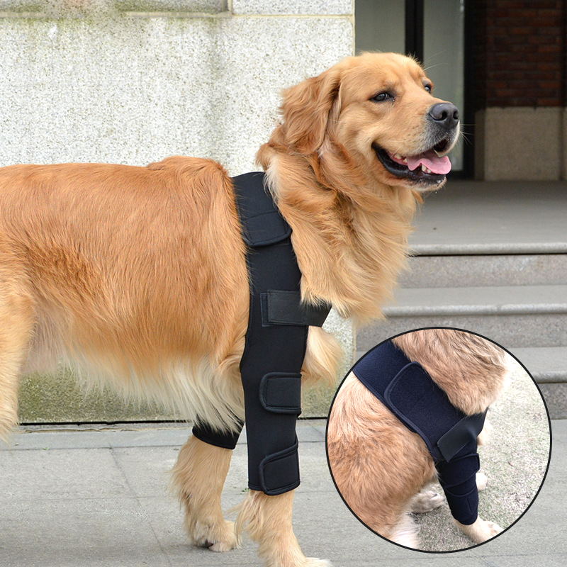 dog elbow pads to prevent lick wound