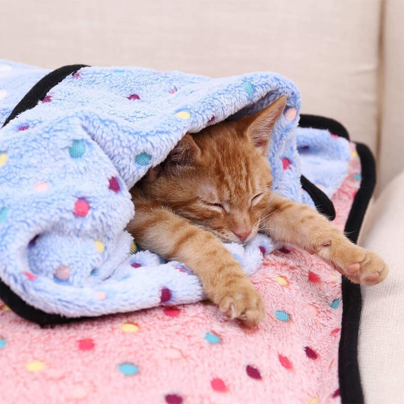 blue dog cat blanket
