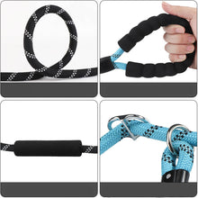 Load image into Gallery viewer, HiFuzzyPet Reflective Dog Slip Leashes with Handle
