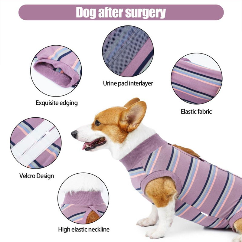 dog surgical recovery suit details