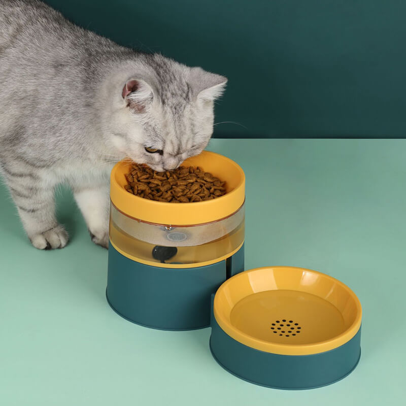 2 in 1 Cat Bowl Feeder and Water Bowl Set