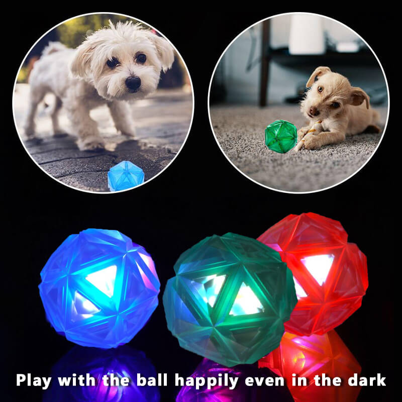 play light-up dog ball toy in the dark
