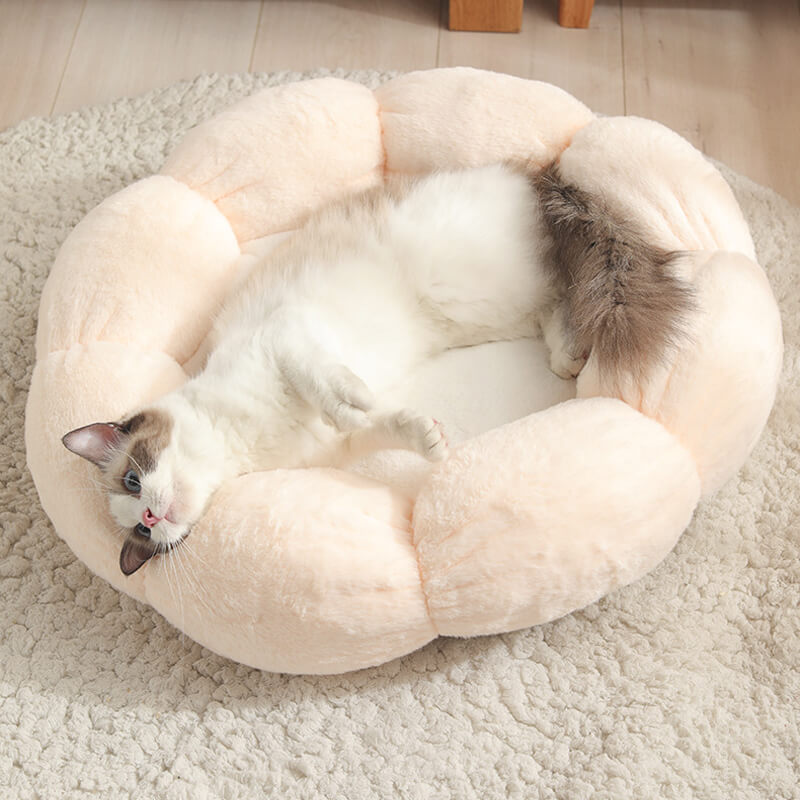 HiFuzzyPet Calming Cozy Donut Cat Bed
