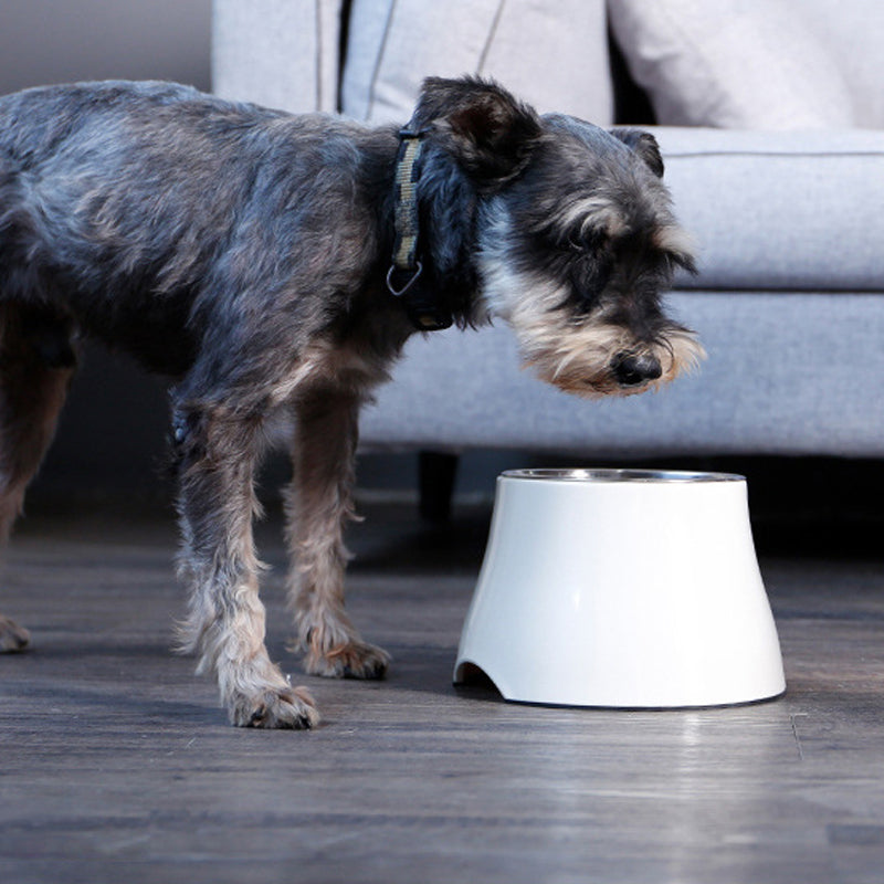 elevated dog bowl for all kind of breed of dogs