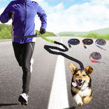 Load image into Gallery viewer, HiFuzzyPet Hands-Free Dog Leash for Training, Walking, Jogging and Running Your Pet
