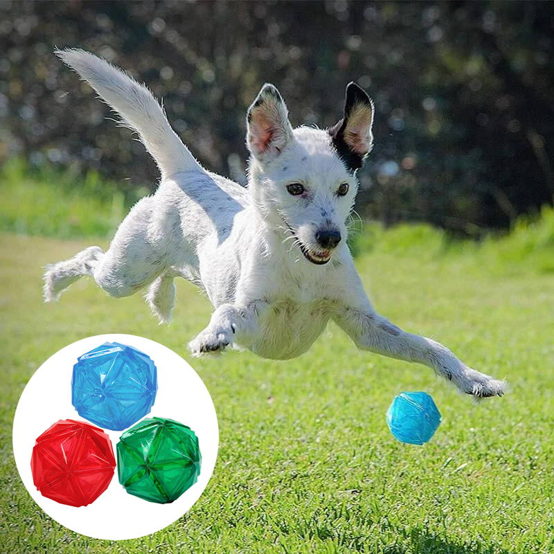 Elastic light-up dog ball toy