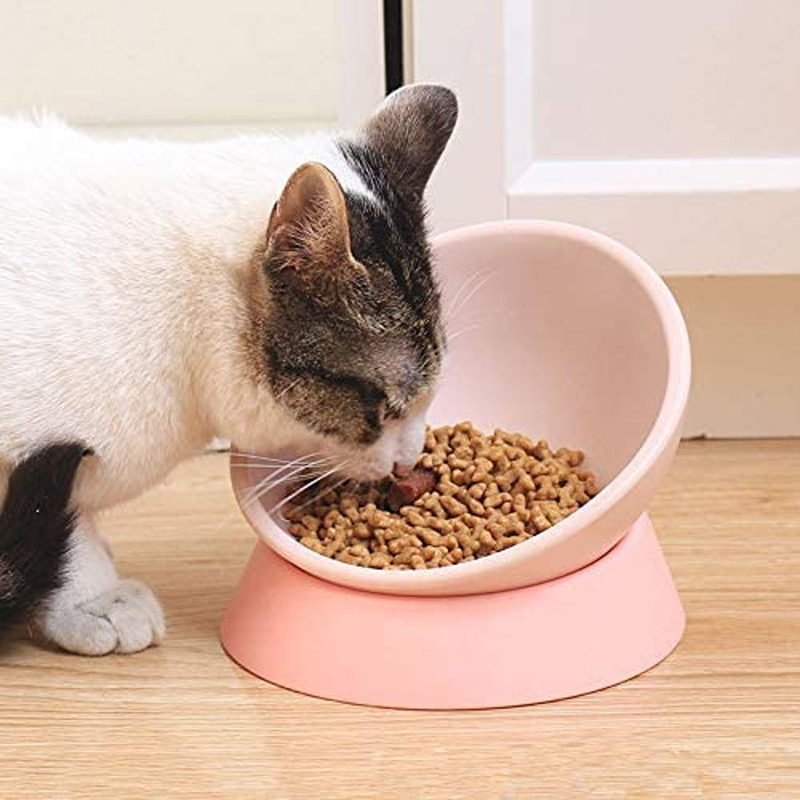 pink elevated cat bowl