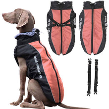 Load image into Gallery viewer, red dog coat jacket with removable buckle
