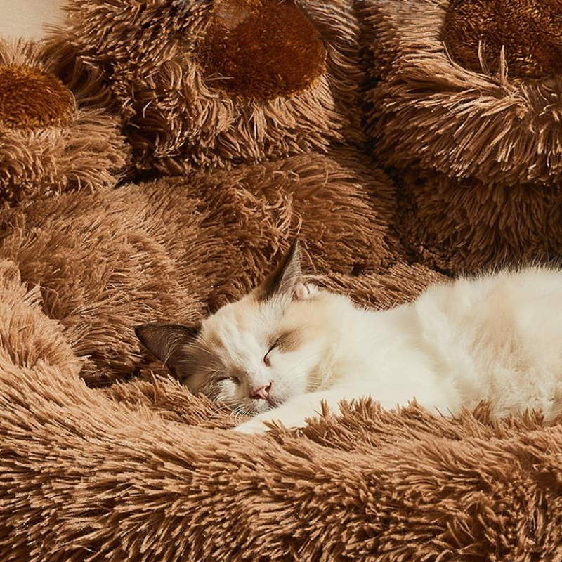 fall into deep sleep dog & cat bed 