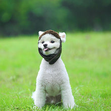 Load image into Gallery viewer, HiFuzzyPet Warm Dog Hat, Pet Winter Pilot Hat
