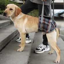Load image into Gallery viewer, HiFuzzyPet Dog Lift Harness with Handle, Pet Recovery Sling
