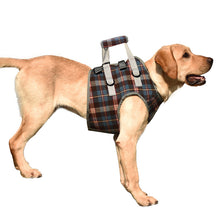 Load image into Gallery viewer, HiFuzzyPet Dog Lift Harness with Handle, Pet Recovery Sling
