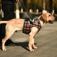 Load image into Gallery viewer, HiFuzzyPet Dog Lift Harness with Handle, Pet Recovery Sling
