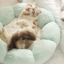 Load image into Gallery viewer, HiFuzzyPet Calming Cozy Donut Cat Bed
