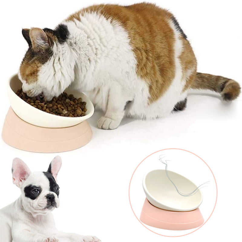 white elevated cat bowl