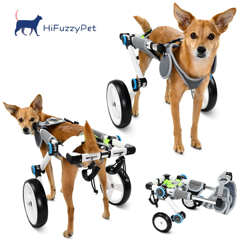 hs2 studio designs pet wheelchair for dogs with hindlimb disorders