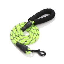 Load image into Gallery viewer, HiFuzzyPet Nylon Reflective Dog Leash
