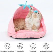 Load image into Gallery viewer, HiFuzzyPet Fruit Cute Cat Bed Pet Tent Bed
