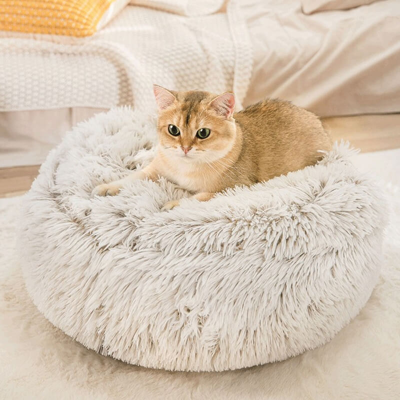 brown bear cat bed with hooded