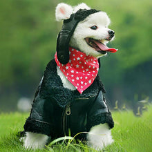 Load image into Gallery viewer, HiFuzzyPet Warm Dog Hat, Pet Winter Pilot Hat
