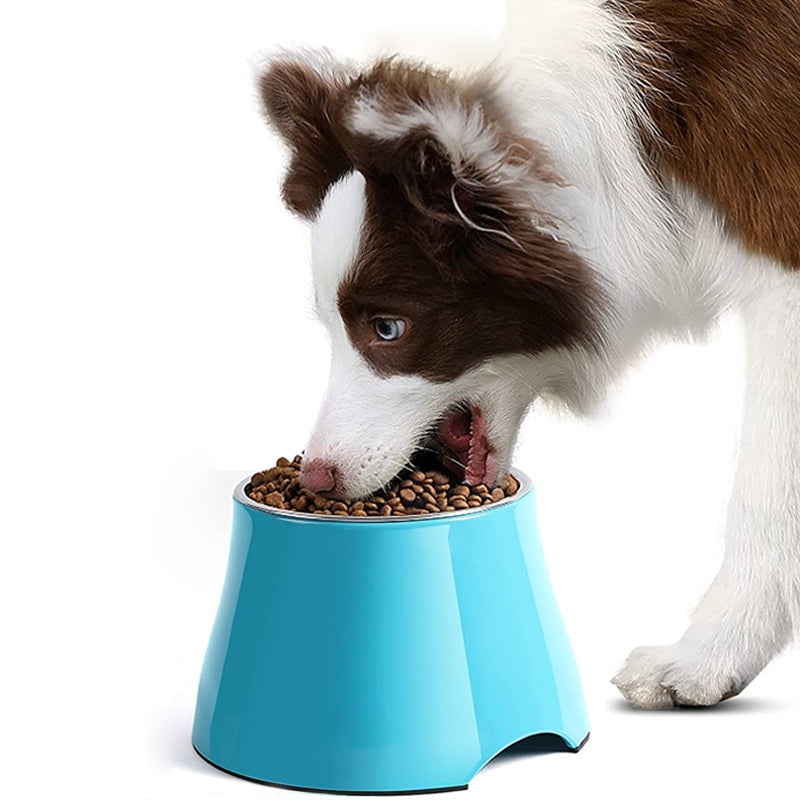 elevated dog bowls for food and water 