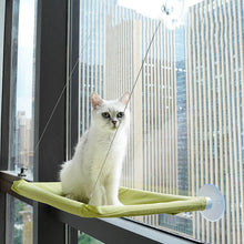 Load image into Gallery viewer, HiFuzzyPet Cat Window Hammock, Space Saving Window Perch for Cats
