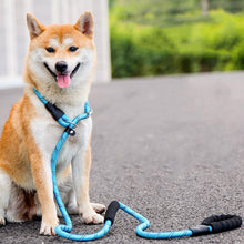 Load image into Gallery viewer, HiFuzzyPet Reflective Dog Slip Leashes with Handle
