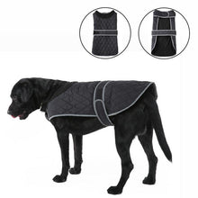 Load image into Gallery viewer, HiFuzzyPet Windproof Dog Jacket for Winter
