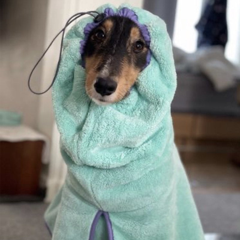 blueberry dog bathrobe towel