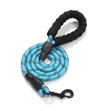 Load image into Gallery viewer, HiFuzzyPet Nylon Reflective Dog Leash

