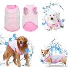 Load image into Gallery viewer, pink dog cooling vest 
