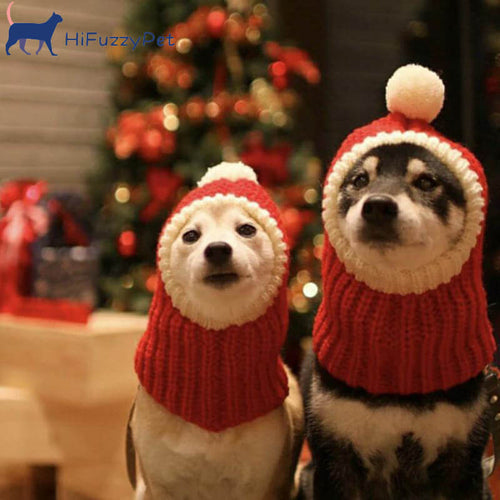 HiFuzzyPet Knitted Dog Hats for Winter