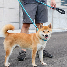 Load image into Gallery viewer, HiFuzzyPet Reflective Dog Slip Leashes with Handle
