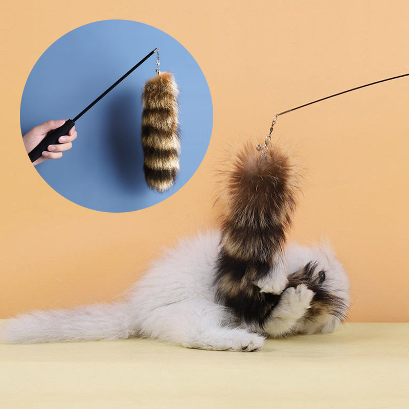 HiFuzzyPet Retractable Cat Teaser Wand Toy, Cat Feather Wand