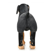 Load image into Gallery viewer, HiFuzzyPet Dog Knee Brace with Safety Reflective Straps
