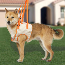 Load image into Gallery viewer, Front eg dog lift harness 
