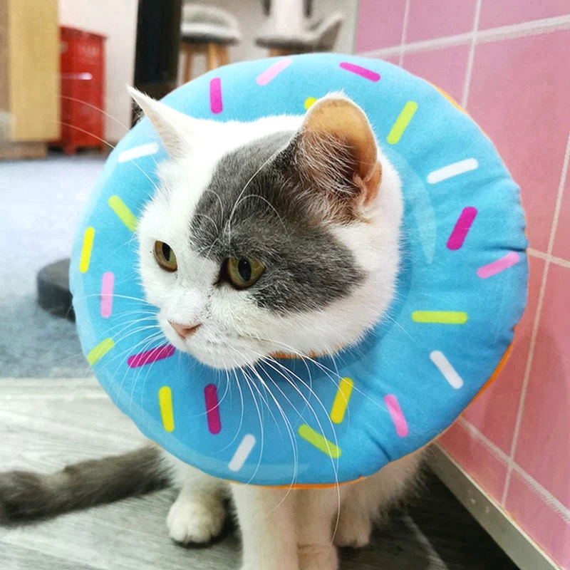 A-blue donut cat cone