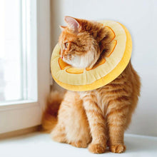 Load image into Gallery viewer, HiFuzzyPet Fruit Shaped Cat Cone Collar After Surgery
