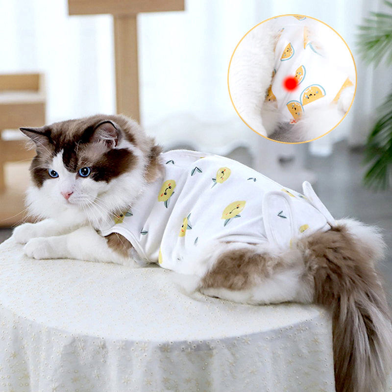  MAXX Cat Post Surgery Suit – Breathable Cat Onesie