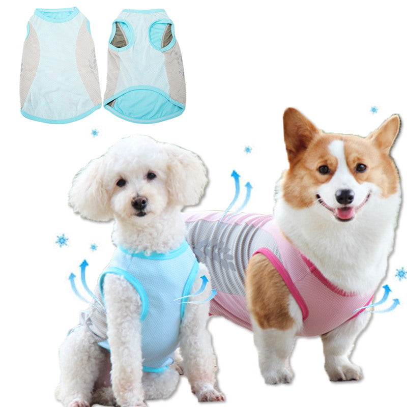 blue dog cooling vest 