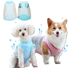 Load image into Gallery viewer, blue dog cooling vest 
