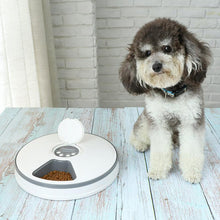 Load image into Gallery viewer, HiFuzzyPet Smart Automatic Dog Feeder with Timer
